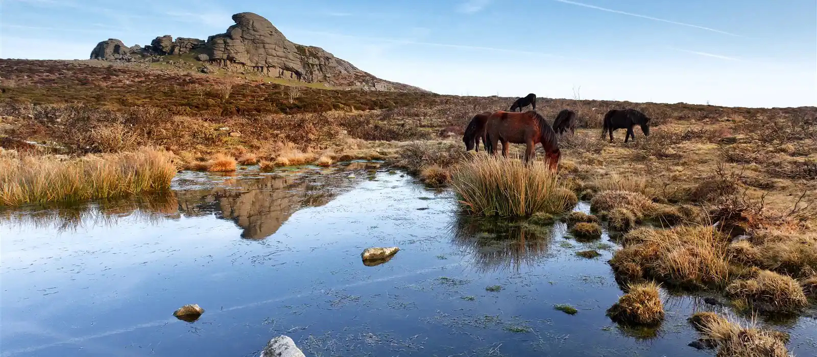 Haytor in Dartmoor National Park