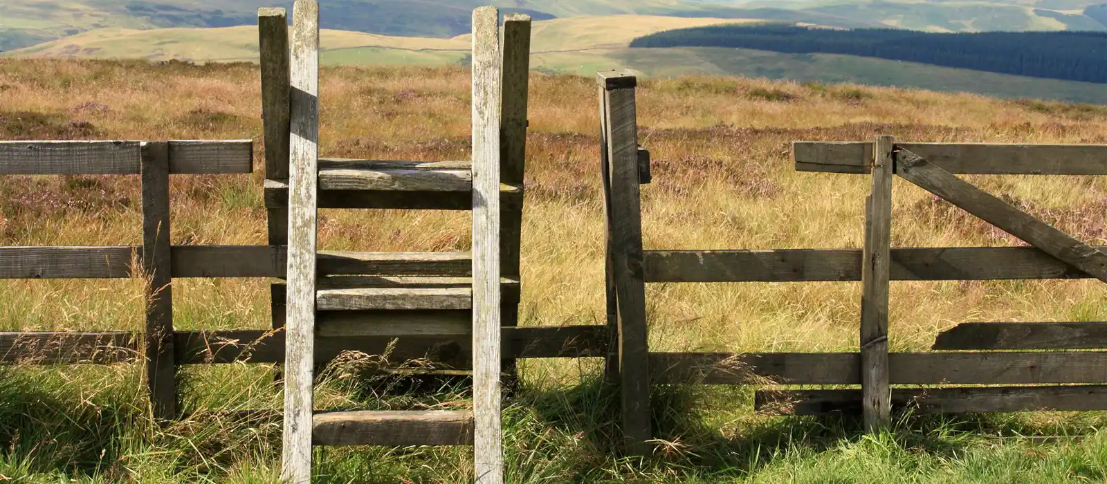 The Cheviot Hills in Northumberland