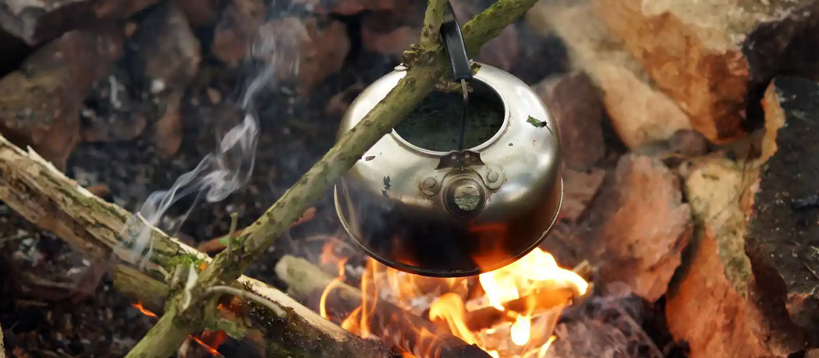 Bushcraft in the UK