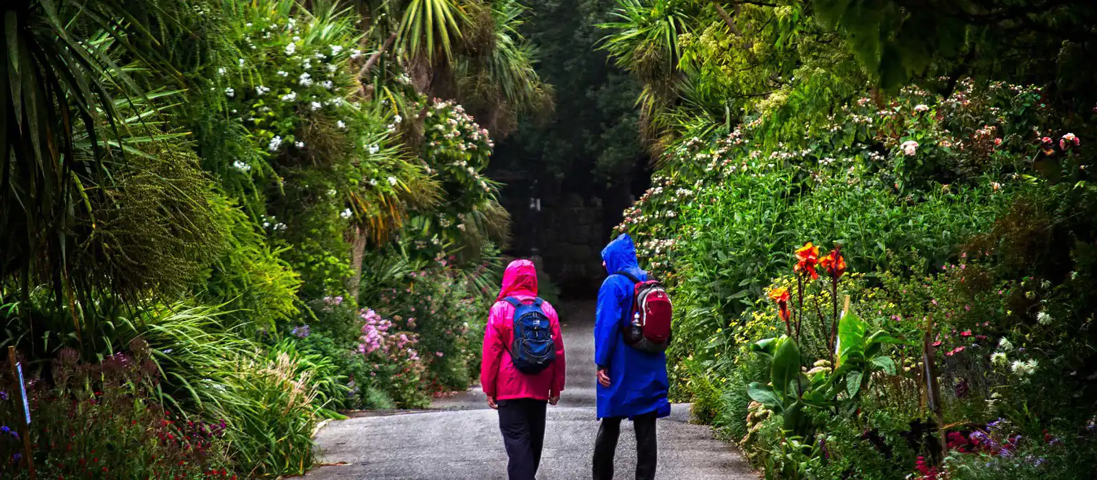 Ventnor Botanic Gardens