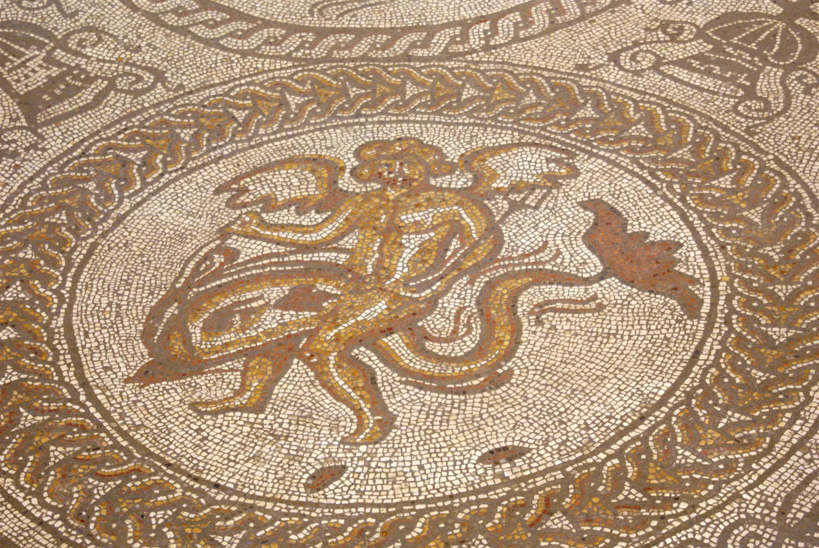 An Amazing mosaic at Fishbourne Roman Palace