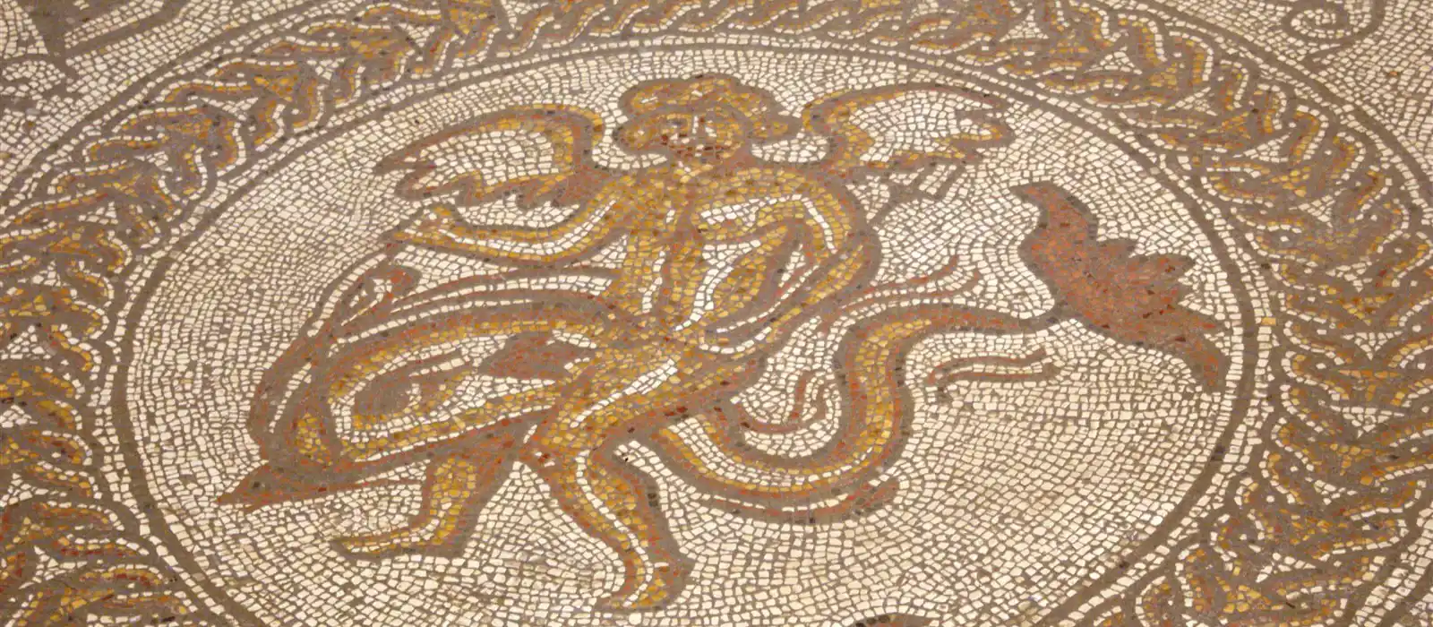 An Amazing mosaic at Fishbourne Roman Palace