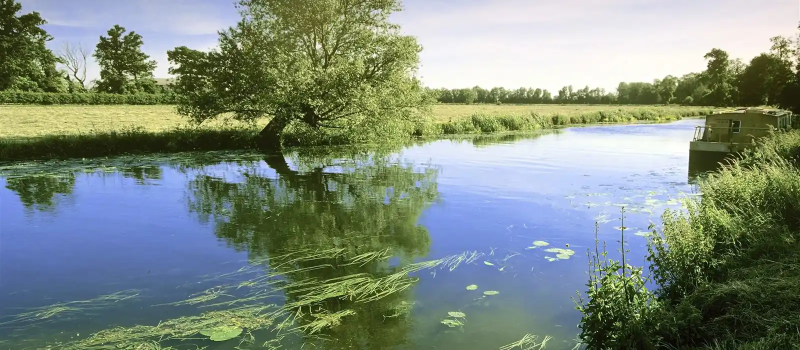 The stunning Norfolk countryside