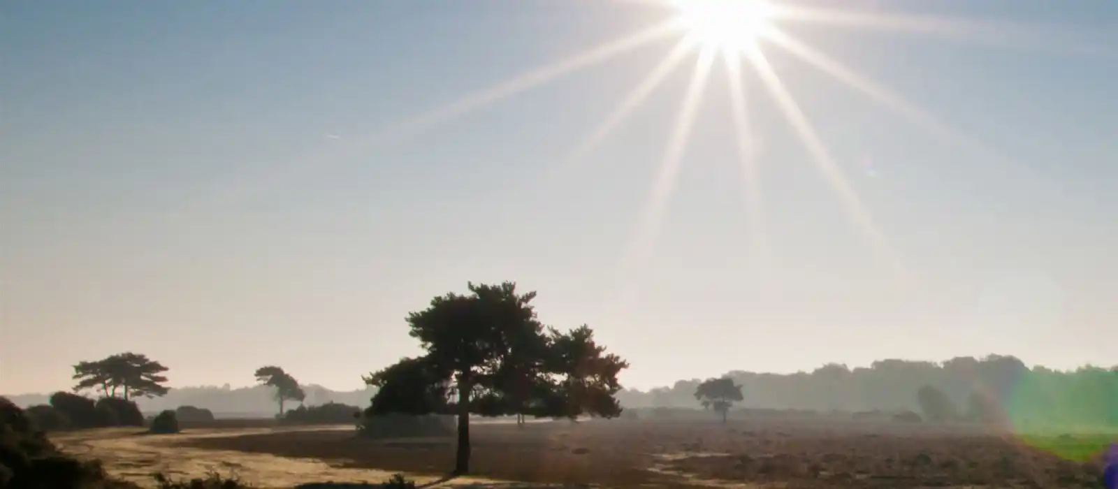 The New Forest National Park