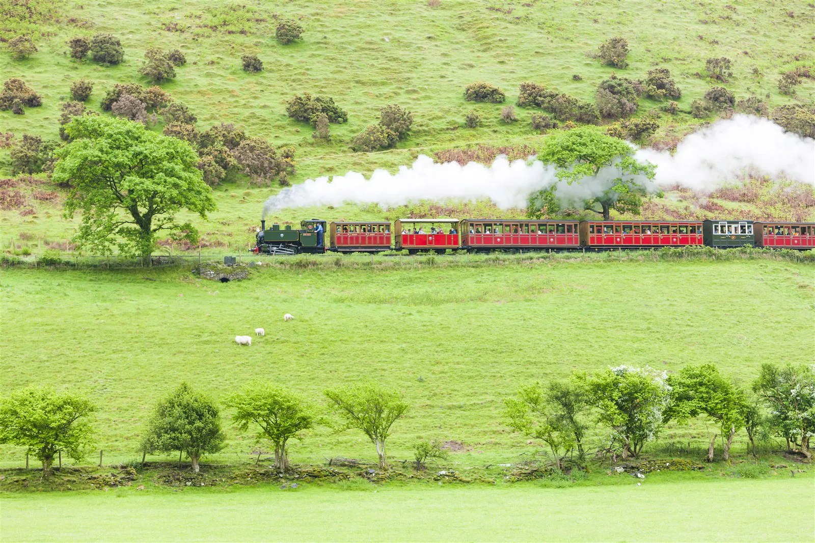 Talyllyn Steam Railway in Wales