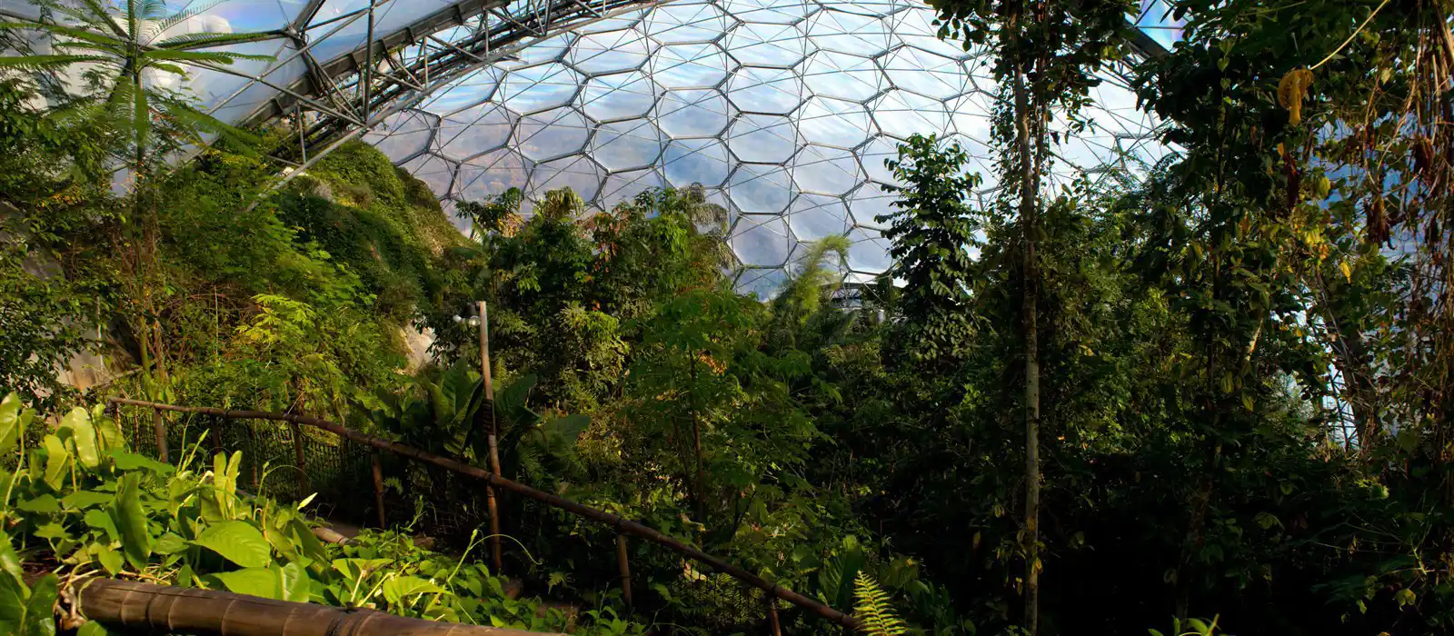 Tropical fun at the Eden Project