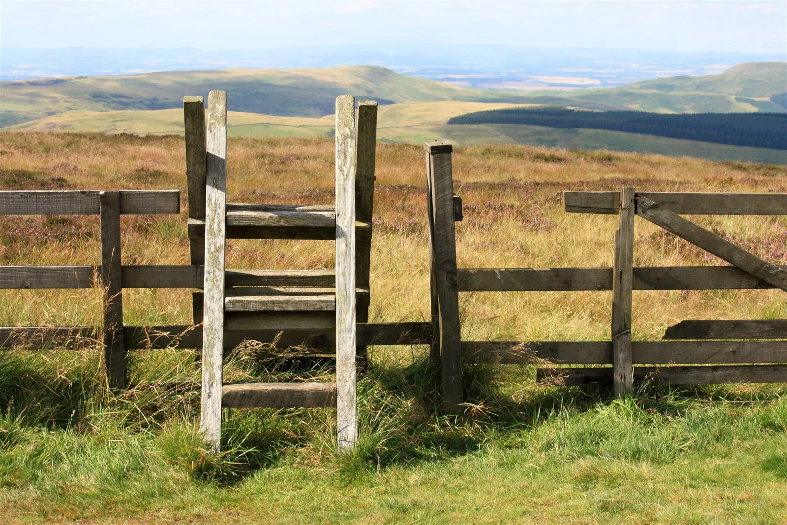 Walking in the beautiful Cheviot Hills in NOrthumberland