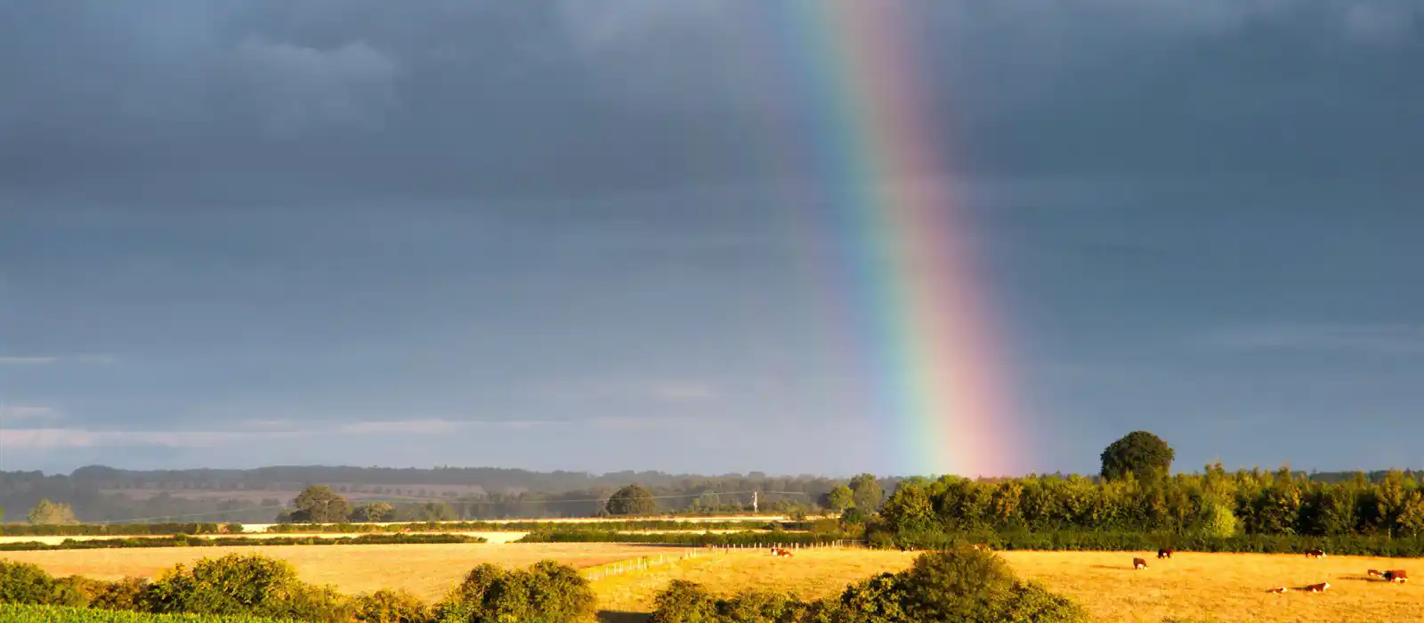 Rainbow over fields, Cotswolds