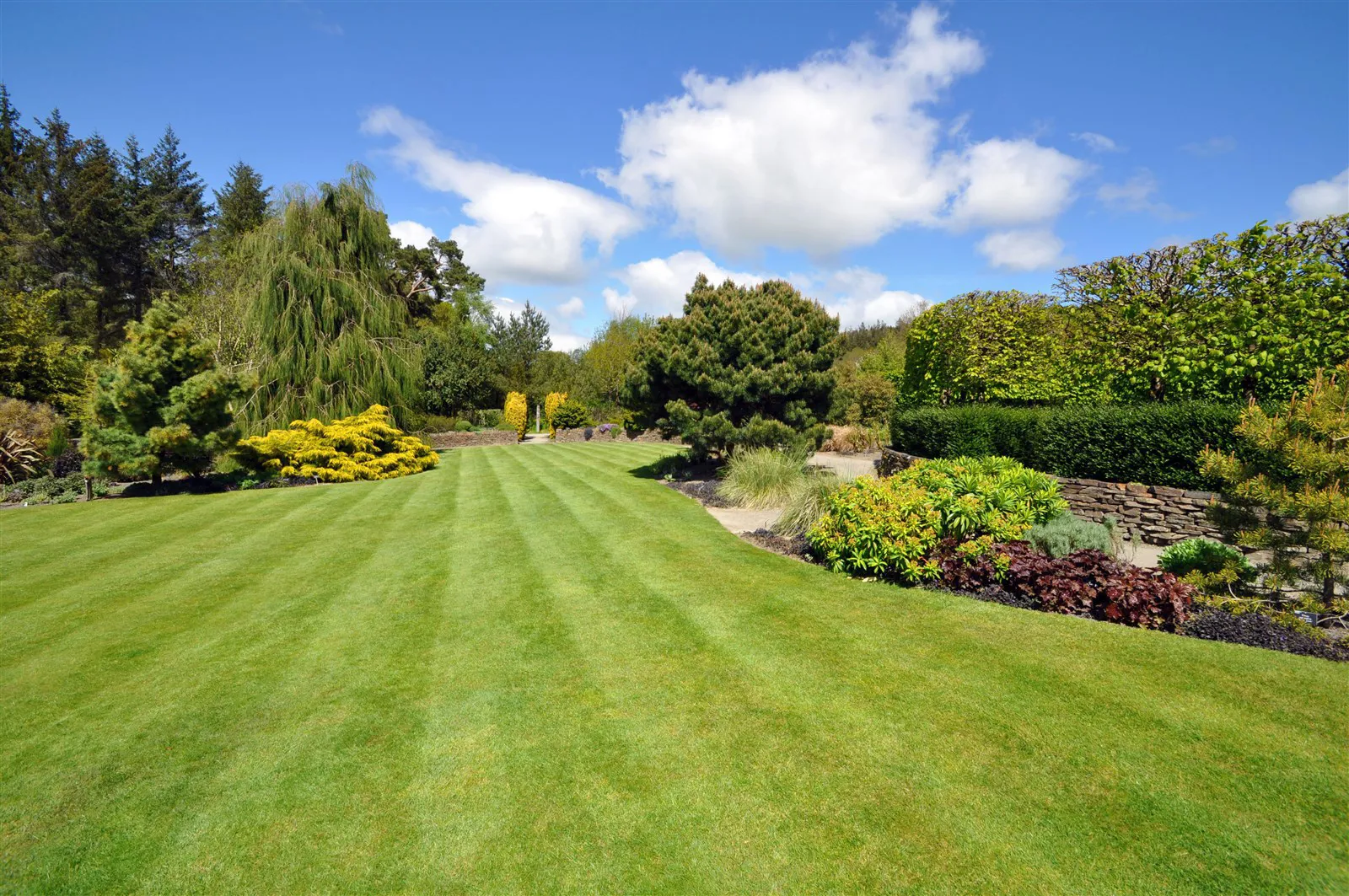 Rosemoor Garden, Torrington, Devon