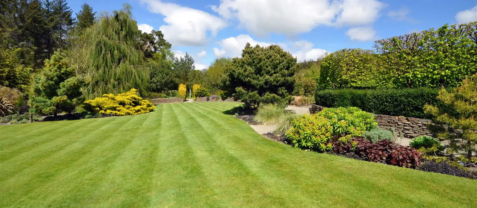 Rosemoor Garden, Torrington, Devon