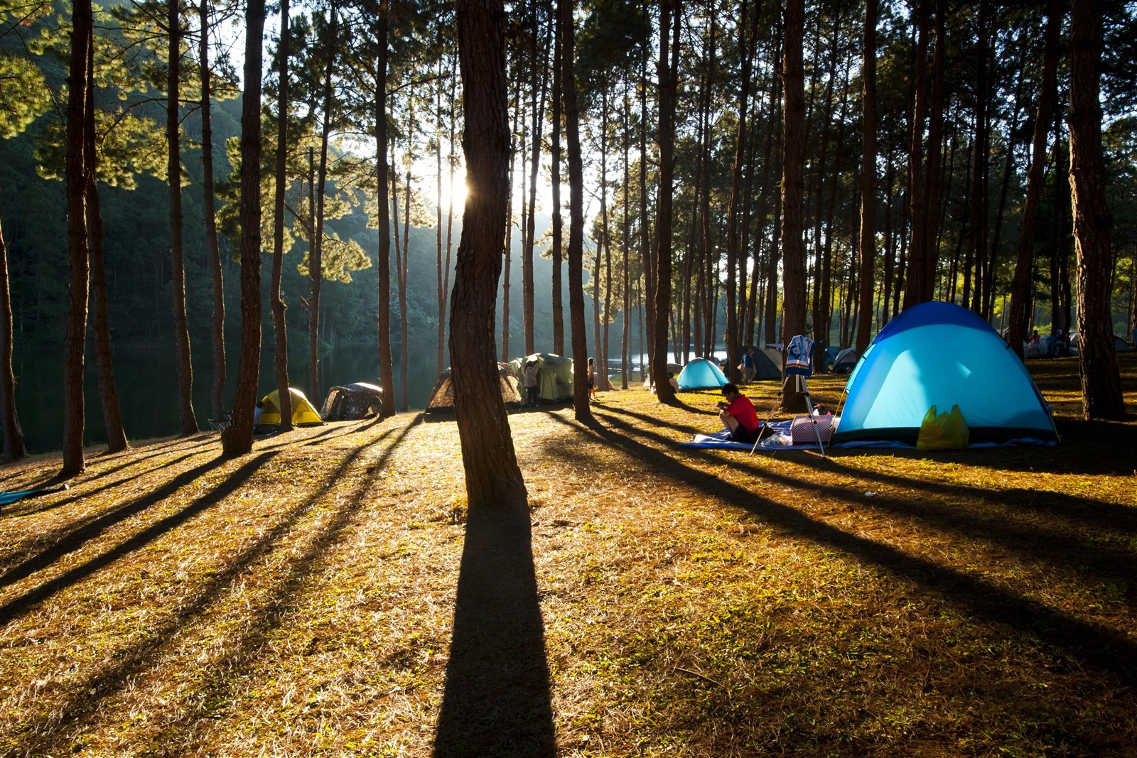Tent camping for beginners discount