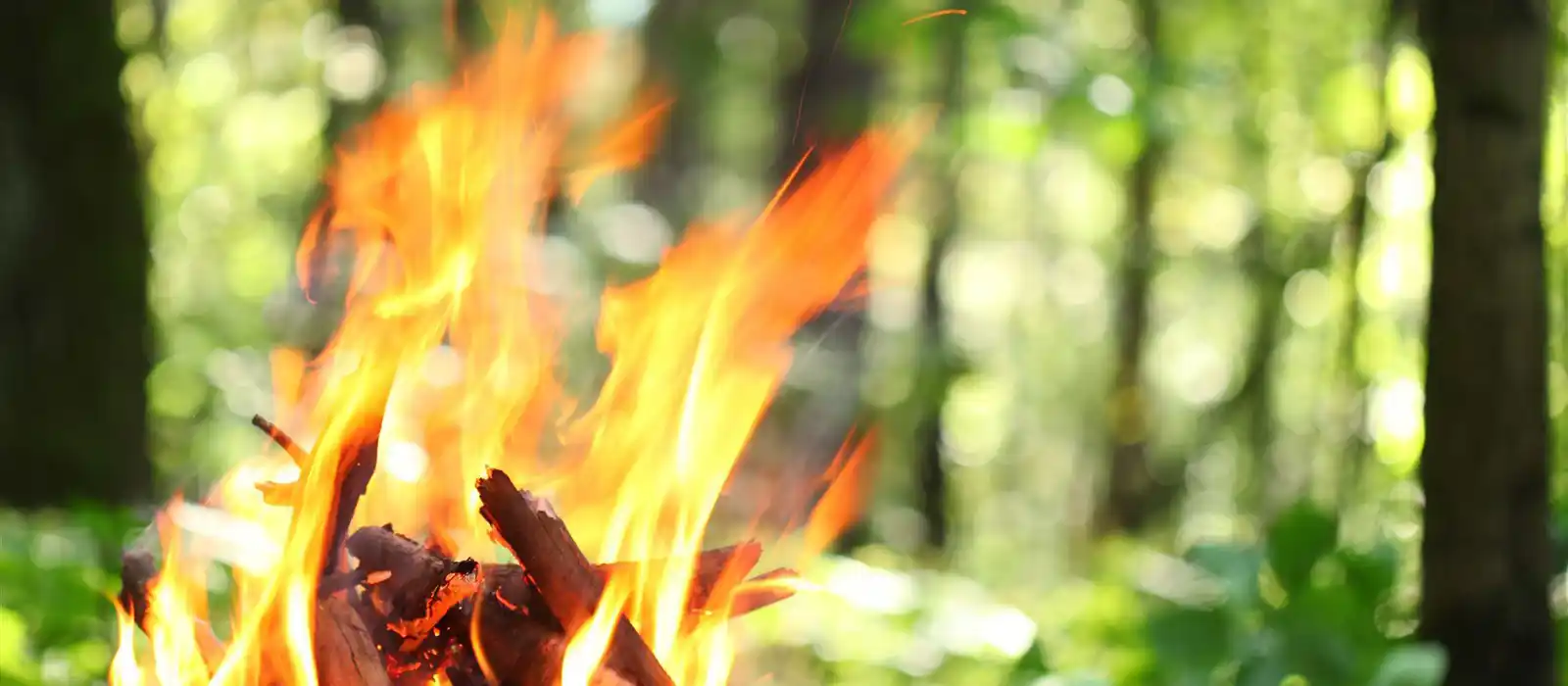 Wild Camping Wild Camping