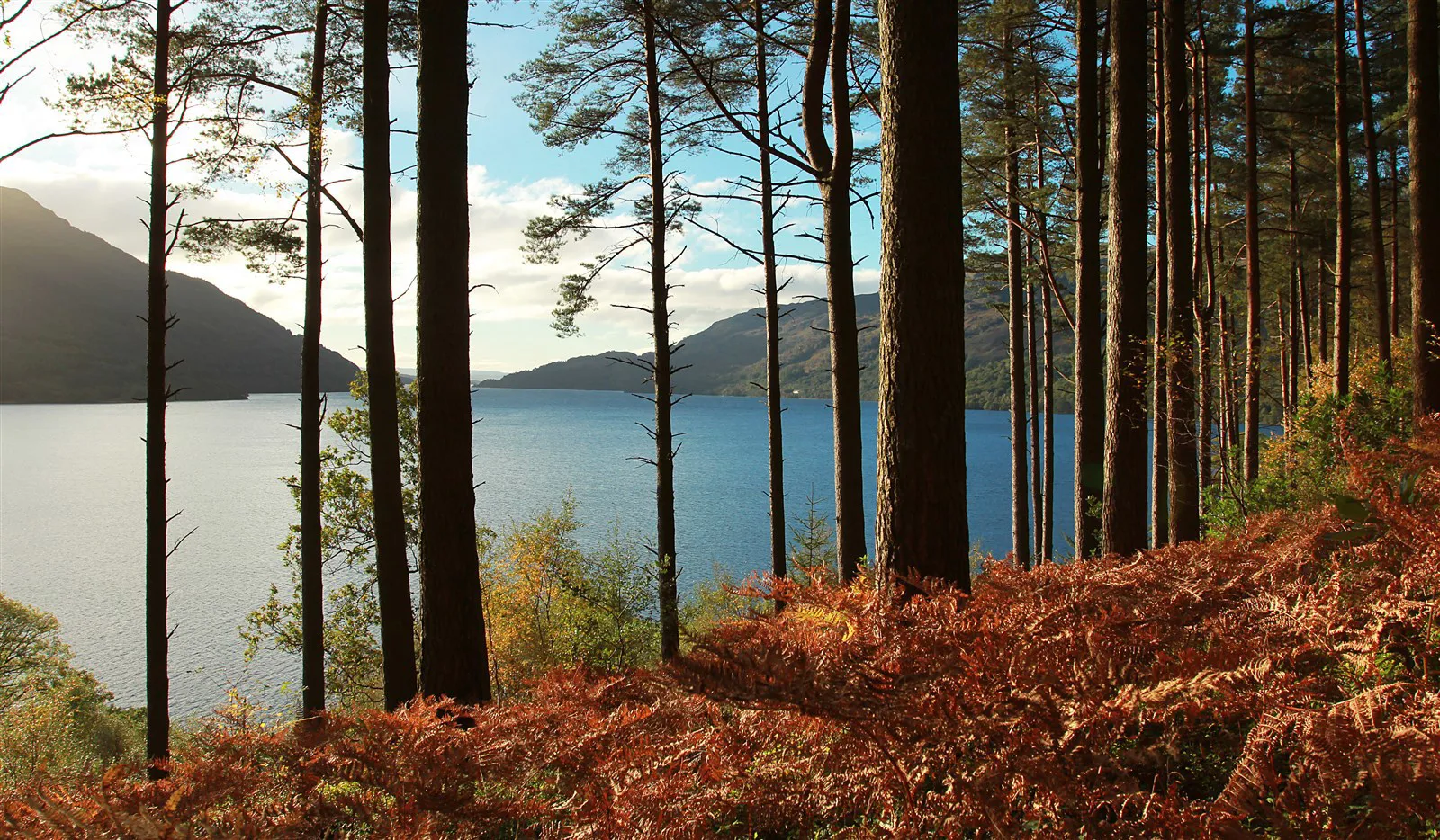 Loch Lomond, Scotland