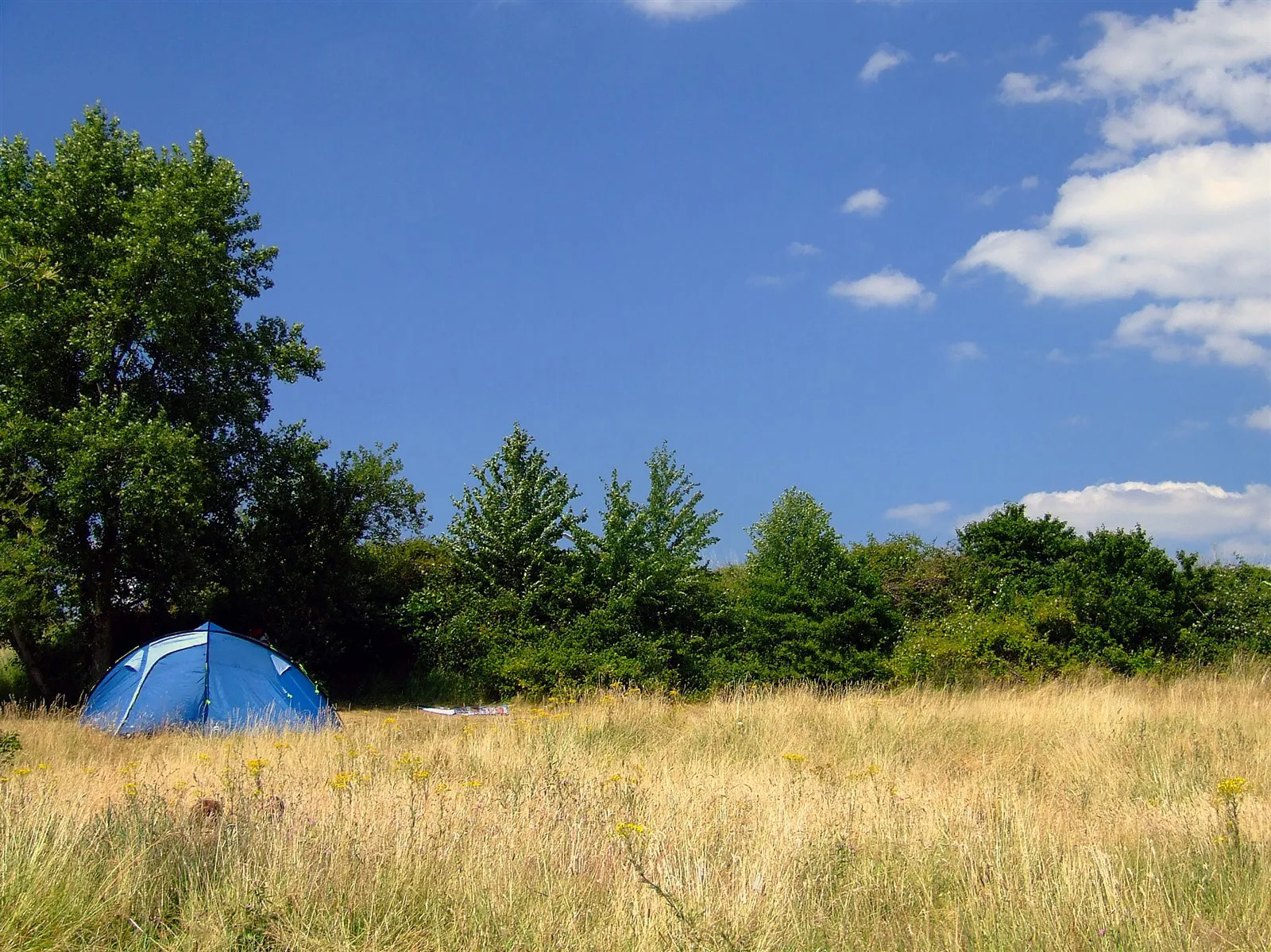 Wild camping within organised campsites