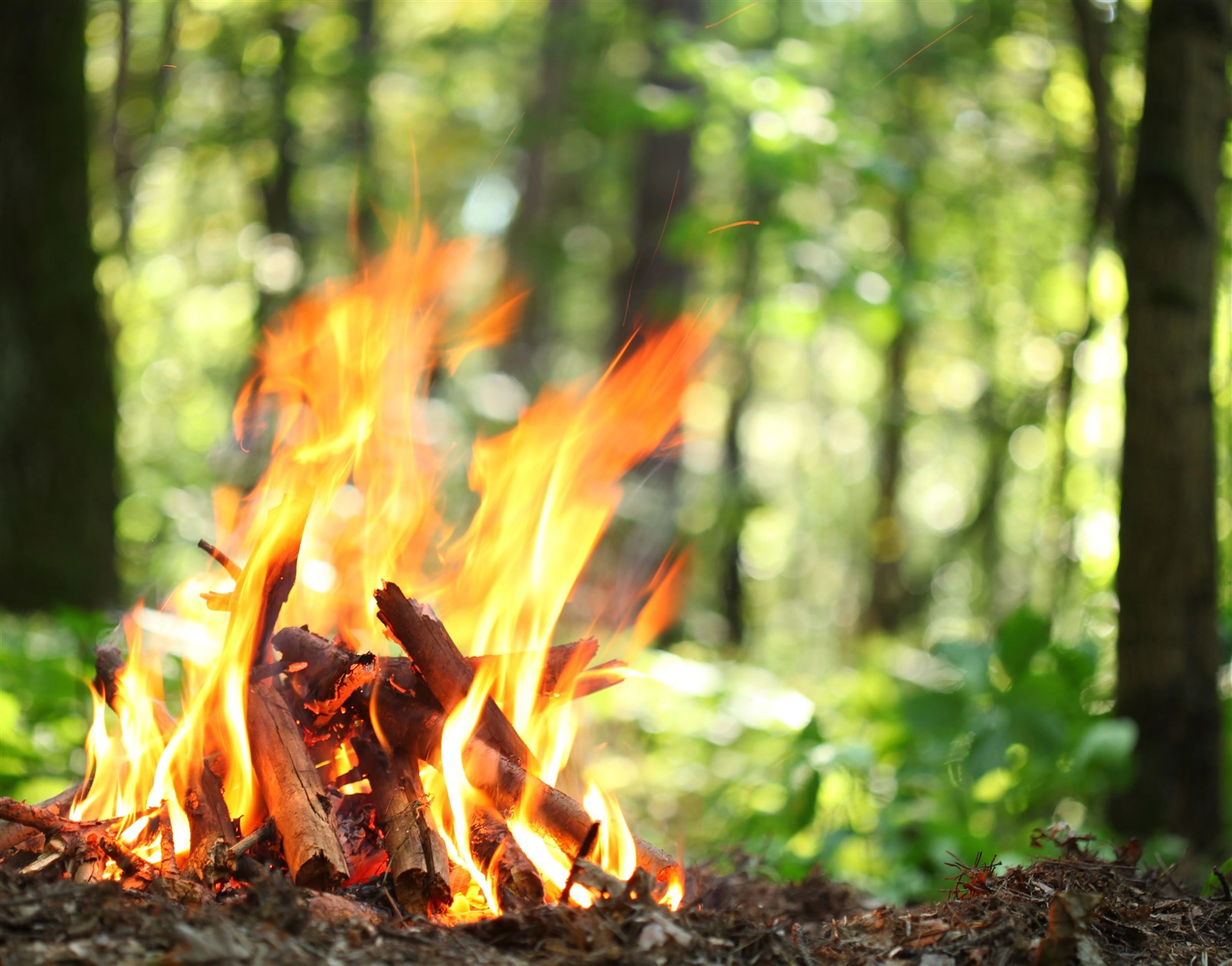 Wild camping kit list and bushcraft skills