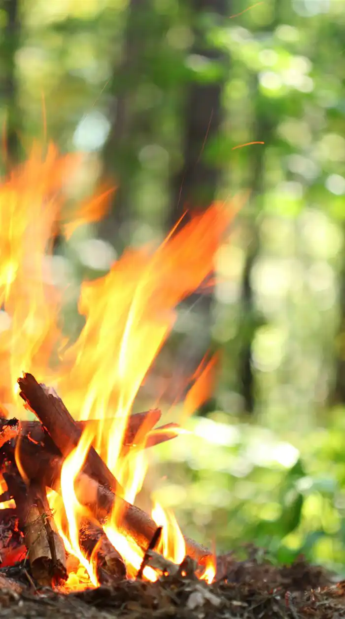 Wild camping kit list and bushcraft skills