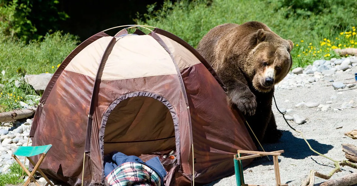 The risks associated with wild camping