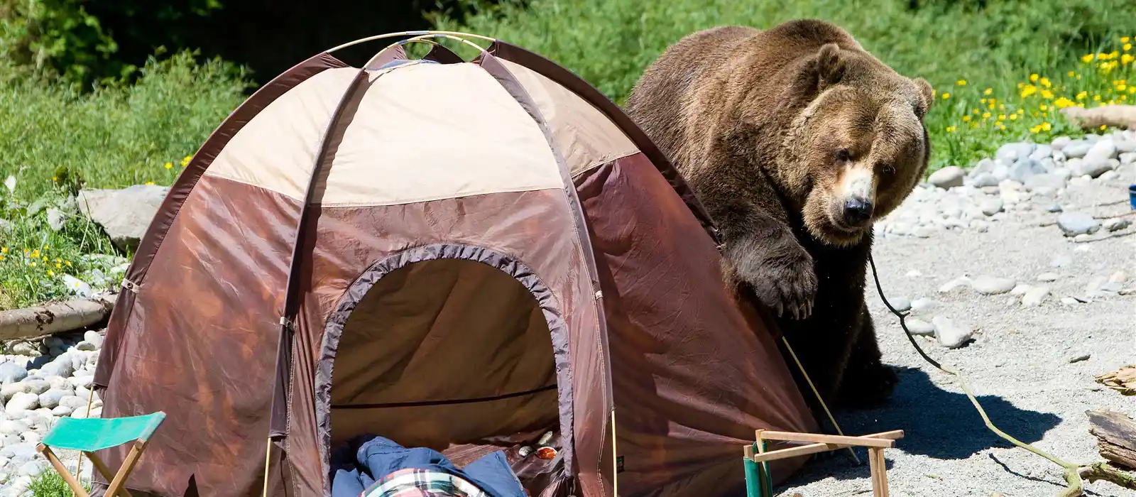 Family camping