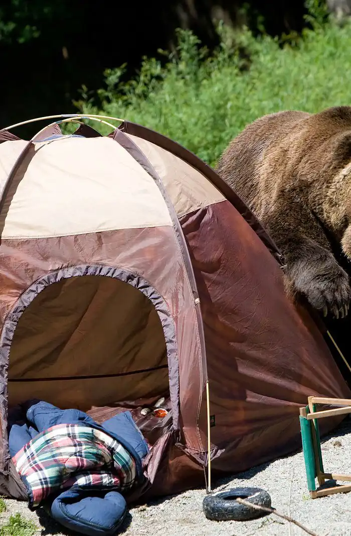 The risks associated with wild camping