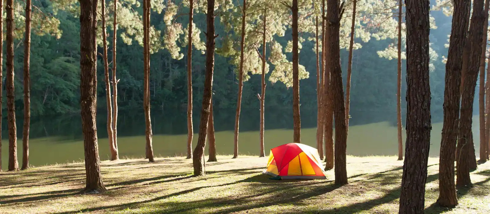 Family camping