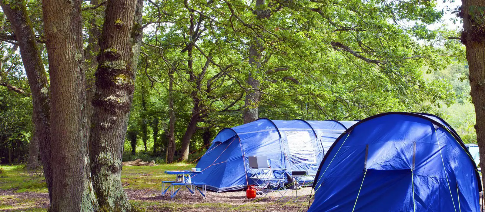 Family camping