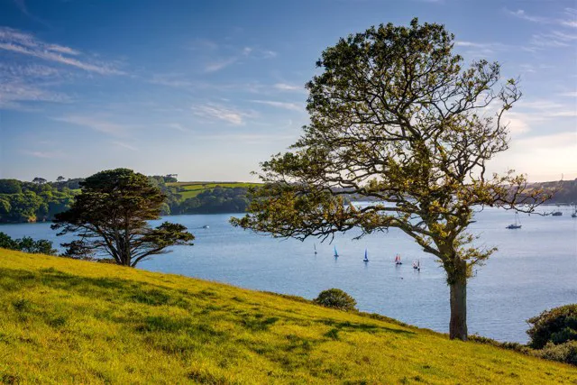 Helford River from Toll Point, Mawnan, Cornwall