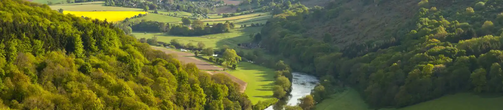 Meandering River Wye