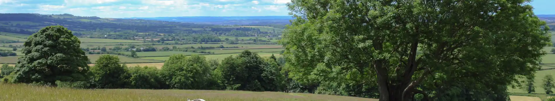 South Gloucestershire campsites