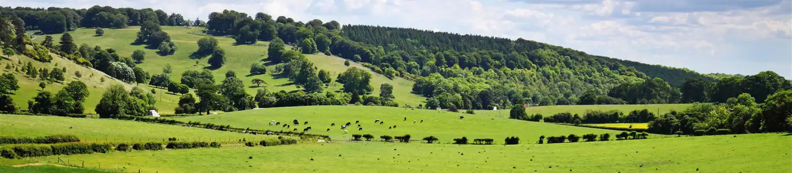 Chiltern Hills, Oxfordshire