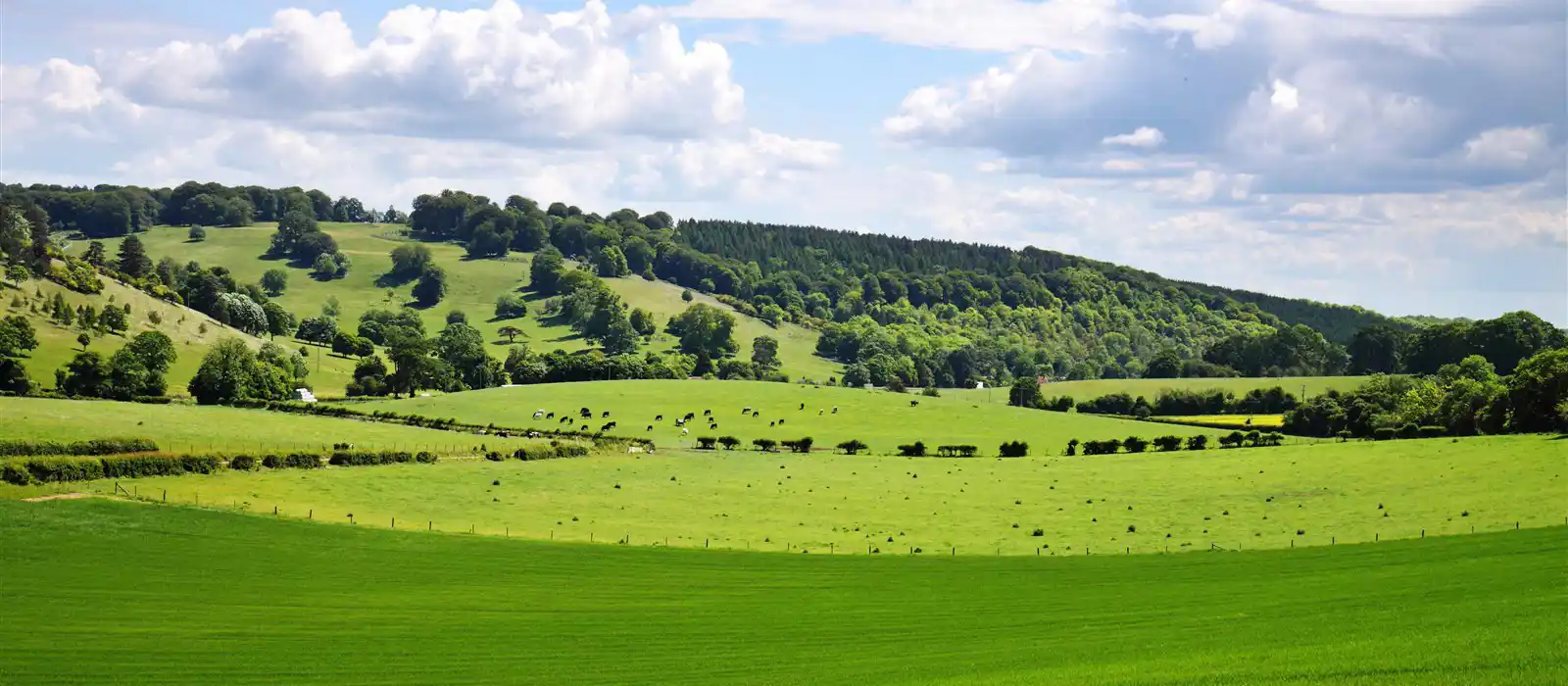 Chiltern Hills, Oxfordshire