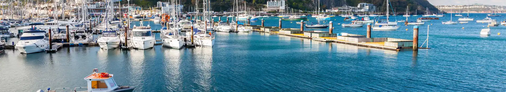 Torbay campsites