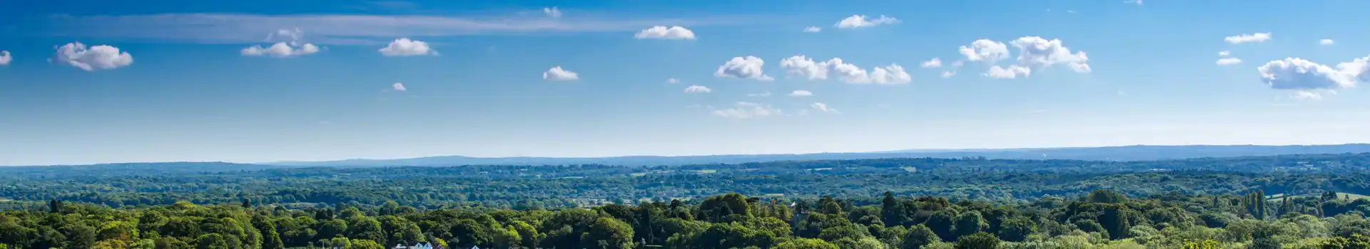 Surrey Hills campsites