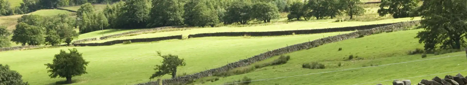 Nidderdale campsites