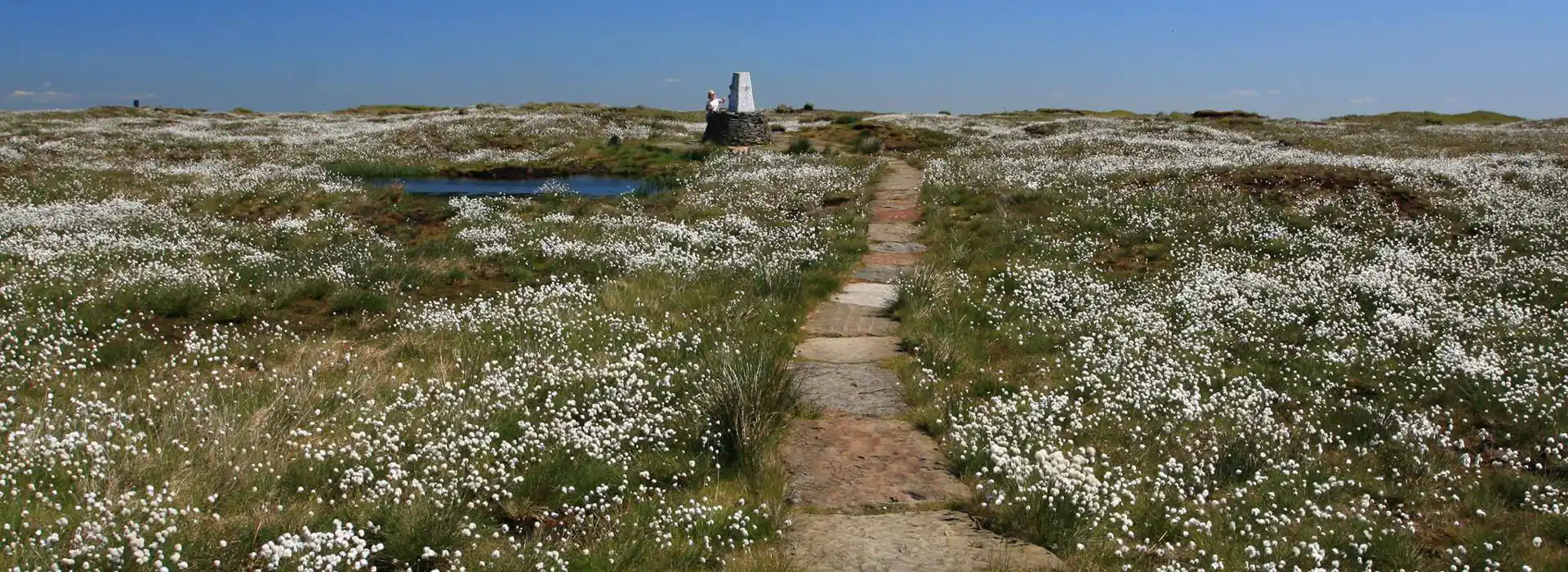 Pennine Way campsites