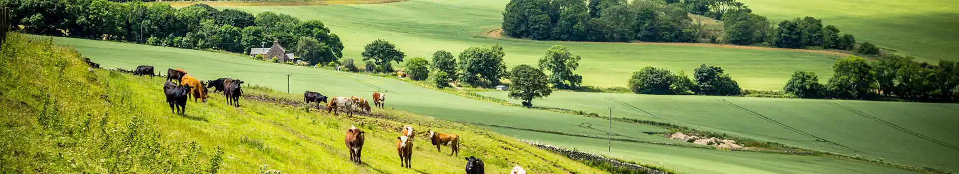 East Lothian campsites