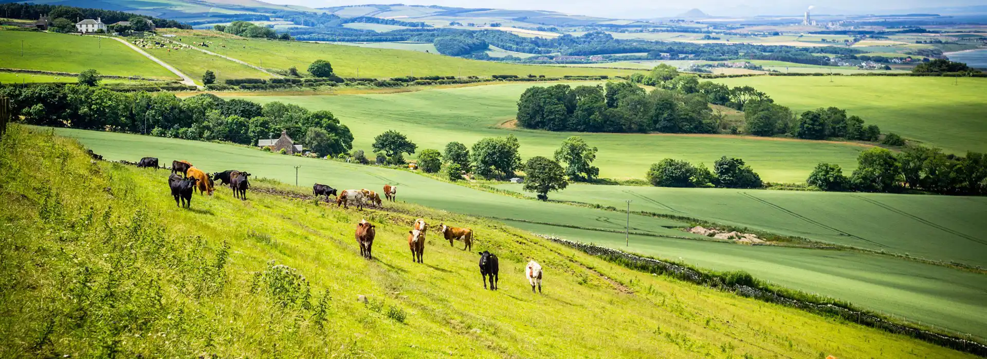 East Lothian campsites