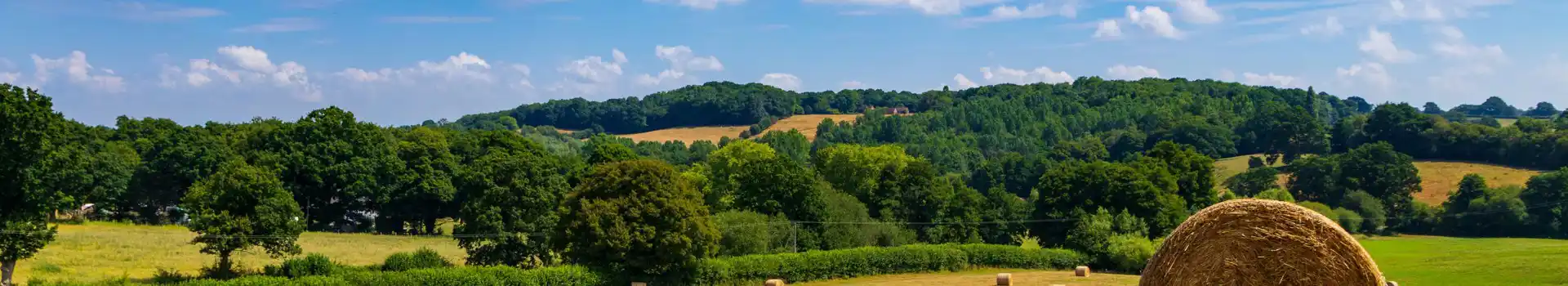 High Weald campsites