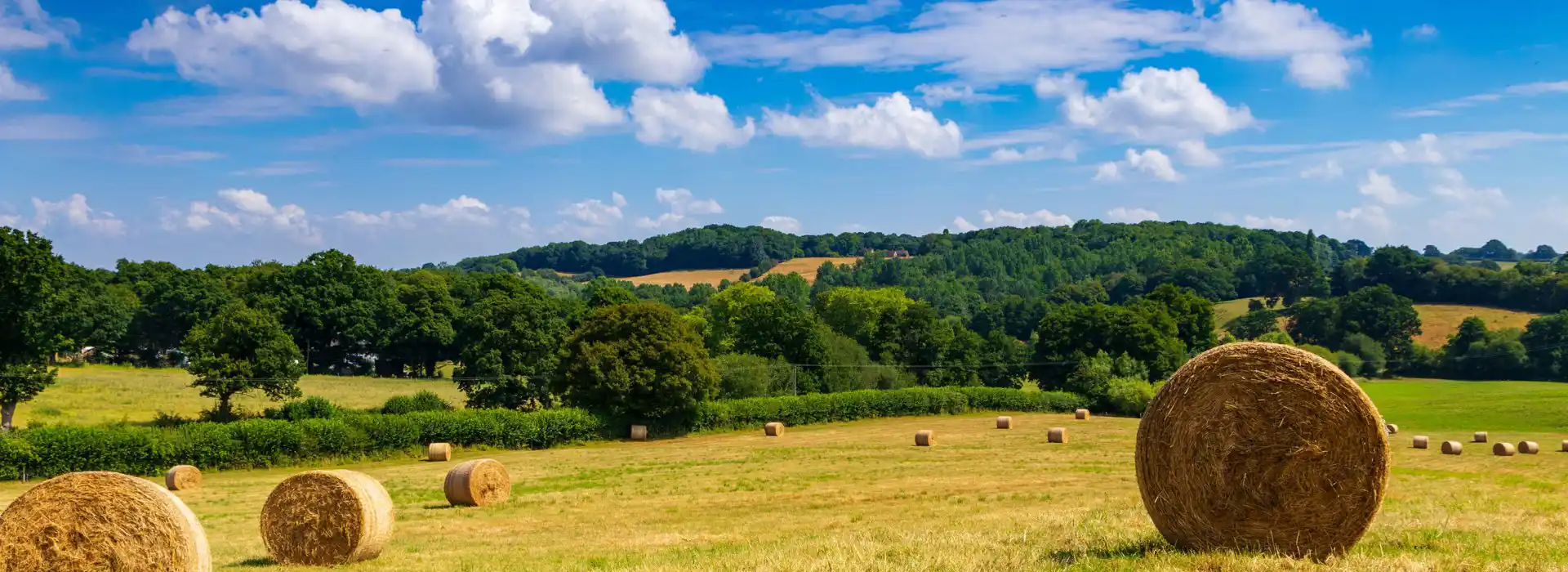 High Weald campsites