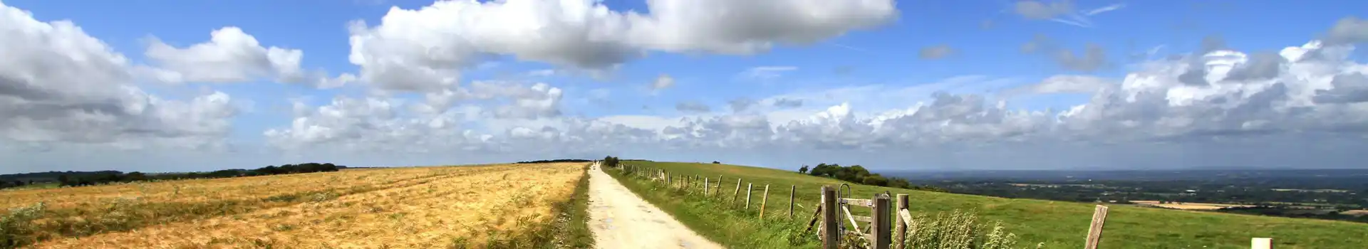 Campsites near the South Downs Way