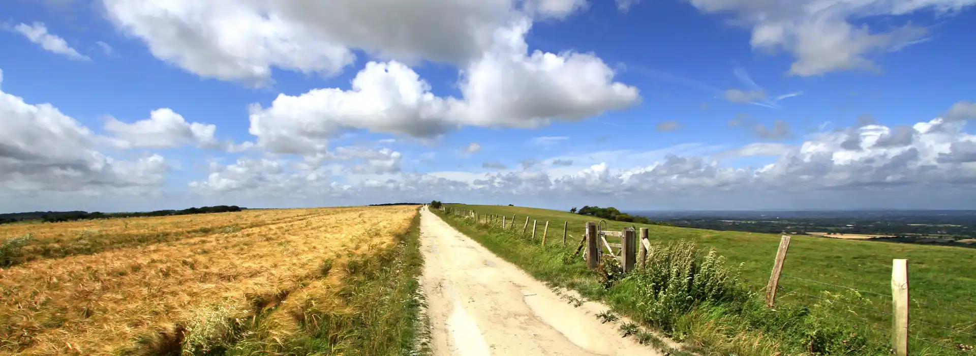 Campsites near the South Downs Way