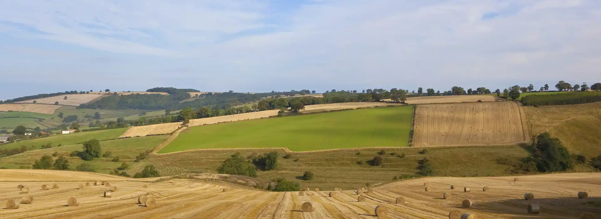 Campsites near the Yorkshire Wolds Way