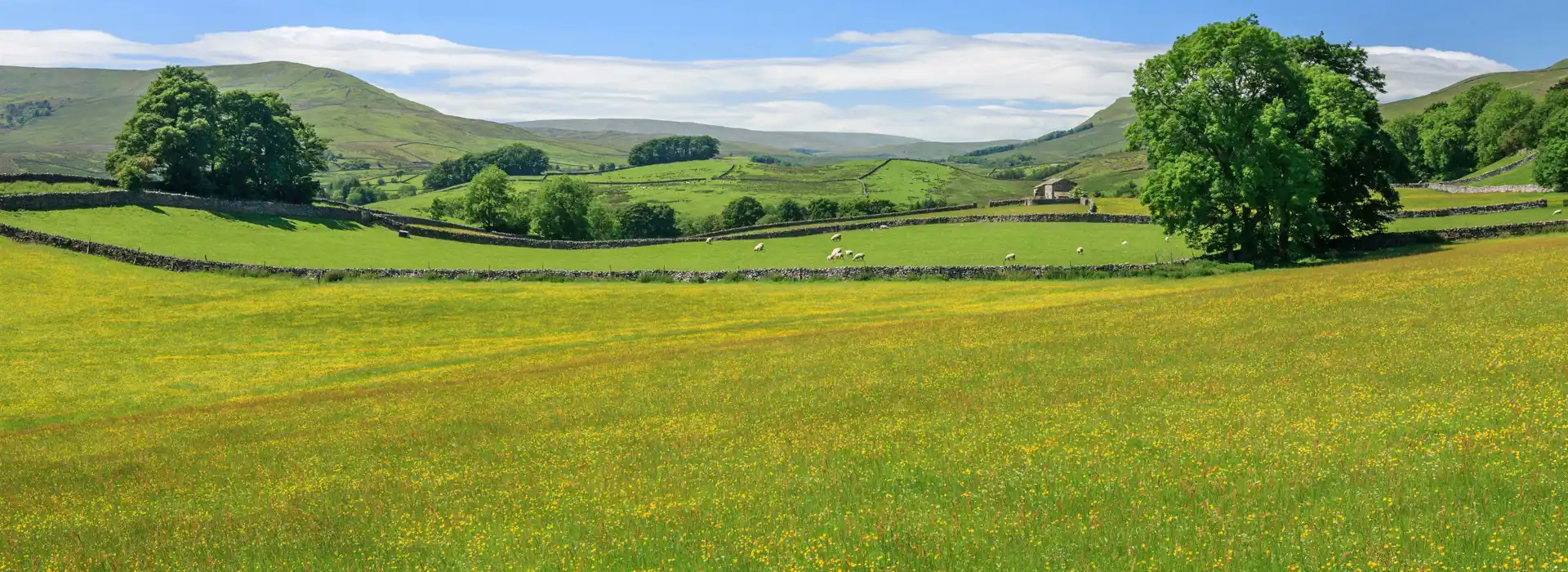 Wensleydale campsites