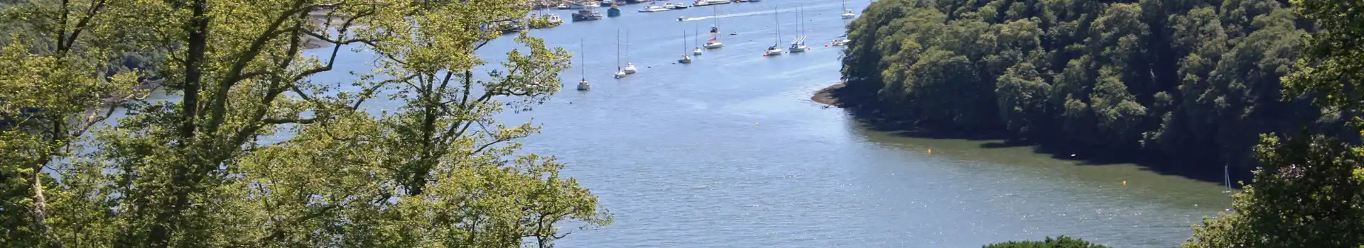 River Dart campsites