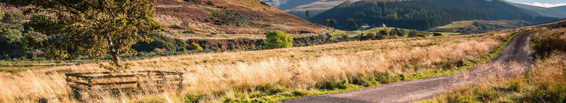 Campsites near the Cheviot Hills