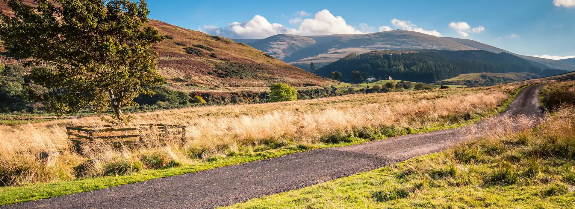 Campsites near the Cheviot Hills