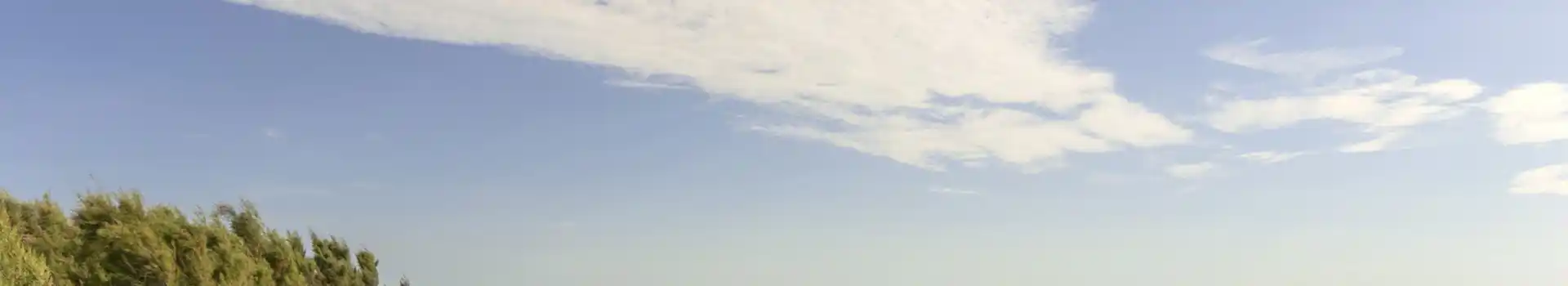 Campsites in the Witterings