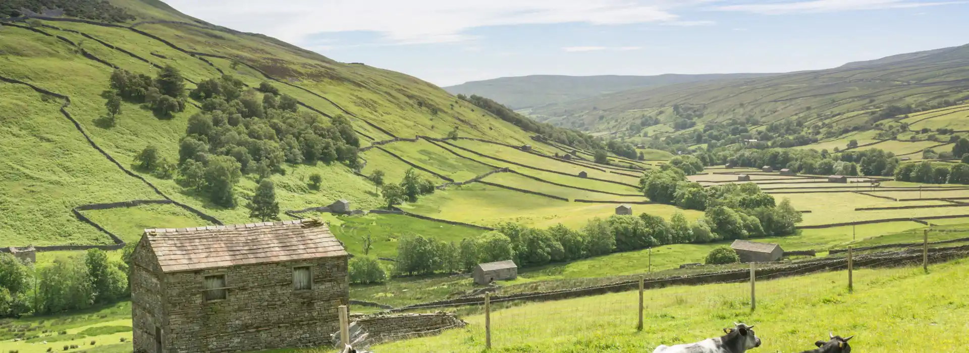 Swaledale campsites 