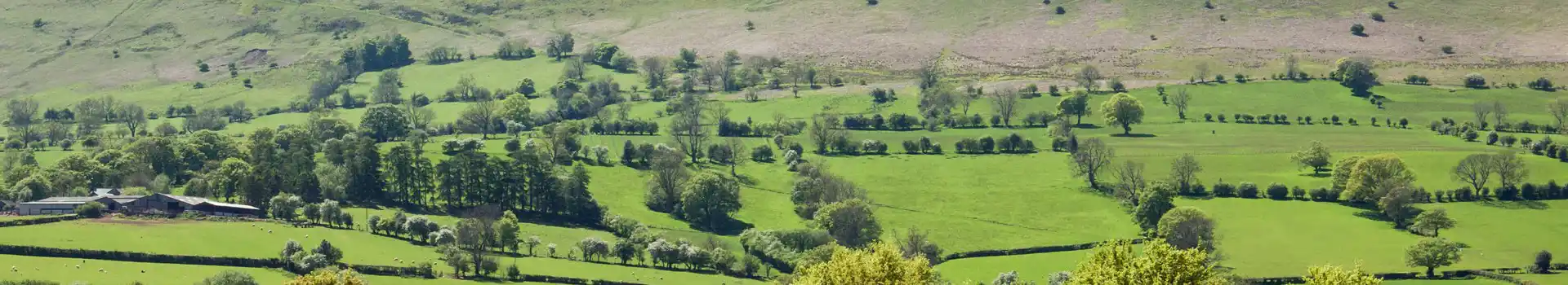 Black Mountains campsites