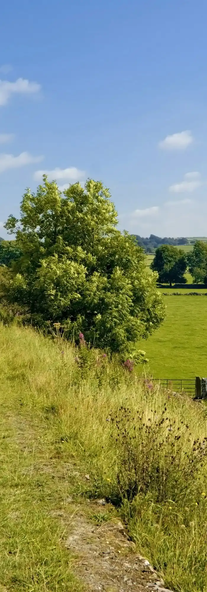 Camping near shop tissington trail