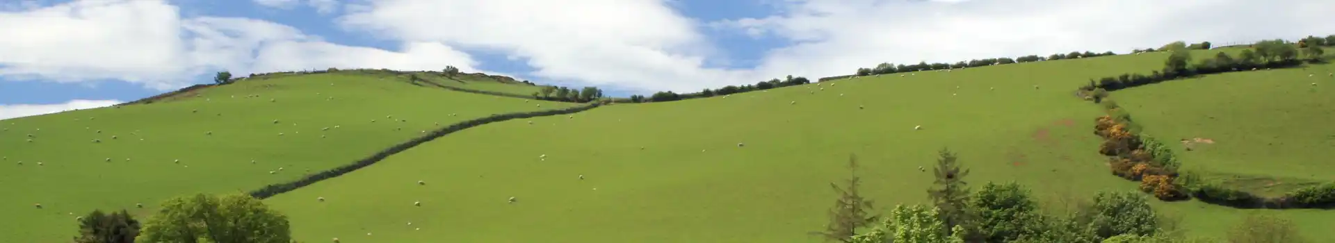 North Somerset campsites